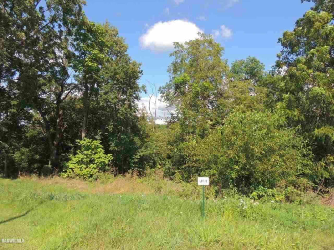 LOT 70 RYAN COURT, GALENA, IL 61036, photo 1 of 2