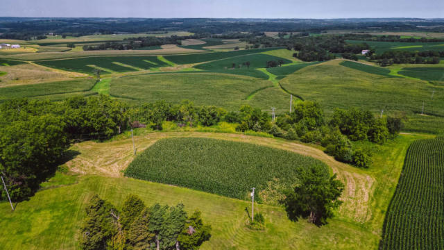 TBD E KROHMER ROAD, ELIZABETH, IL 61028 - Image 1