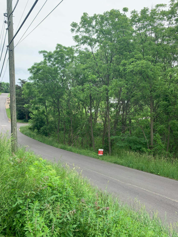 TBD BRIDGE STREET, GALENA, IL 61036, photo 1 of 10